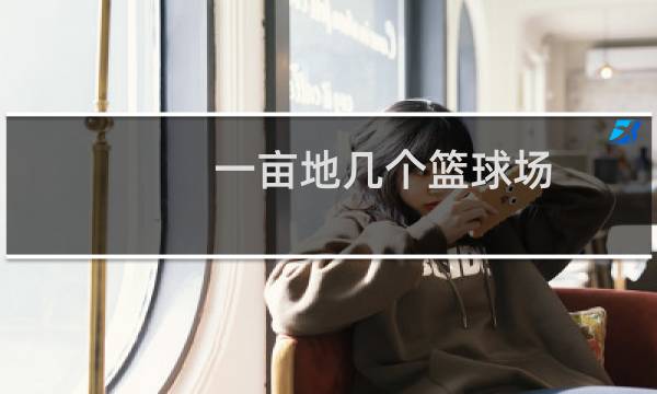一亩地几个篮球场