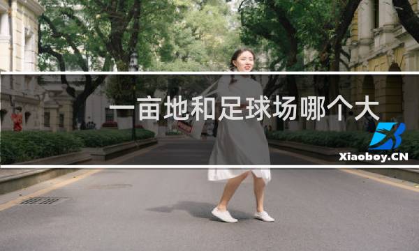 一亩地和足球场哪个大