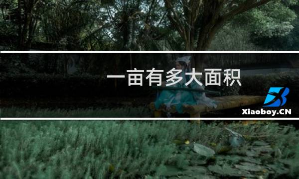 一亩有多大面积