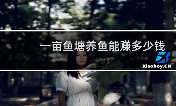 一亩鱼塘养鱼能赚多少钱图片
