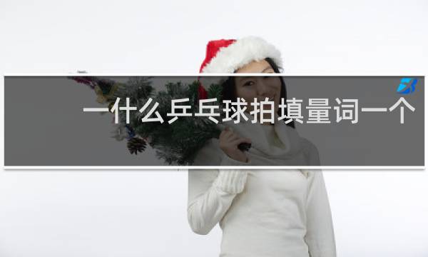一什么乒乓球拍填量词一个