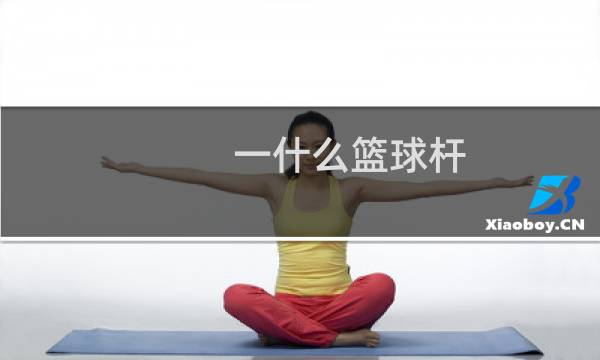 一什么篮球杆