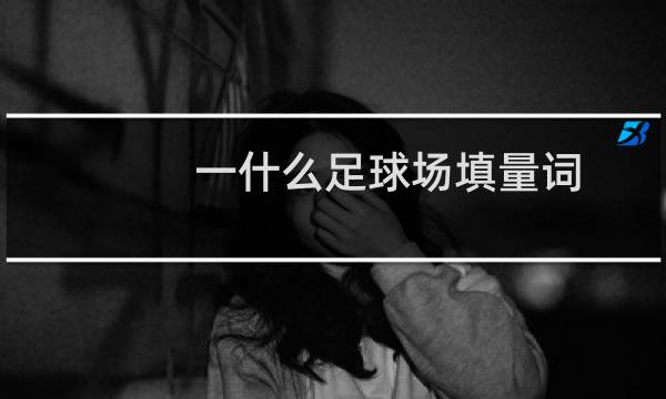 一什么足球场填量词