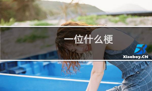 一位什么梗