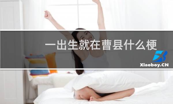 一出生就在曹县什么梗