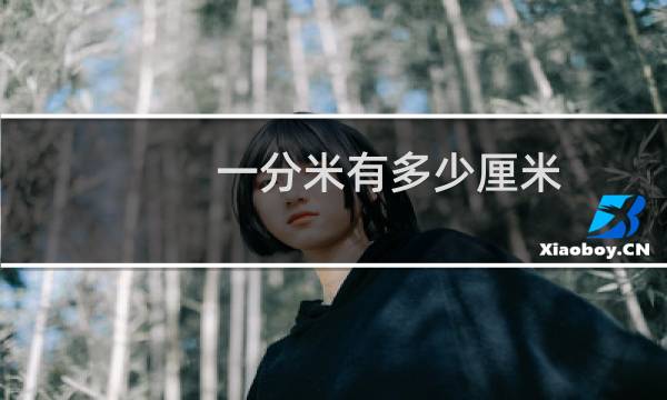 一分米有多少厘米