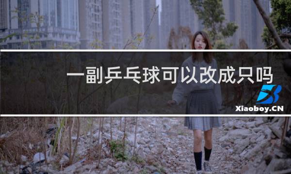 一副乒乓球可以改成只吗