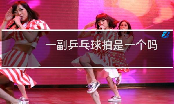一副乒乓球拍是一个吗