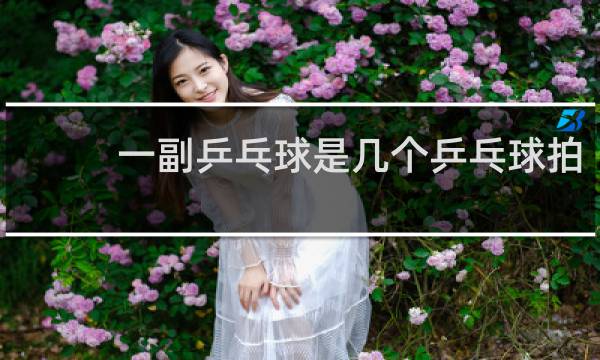 一副乒乓球是几个乒乓球拍