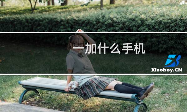 一加什么手机