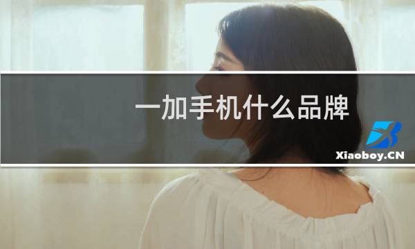 一加手机什么品牌