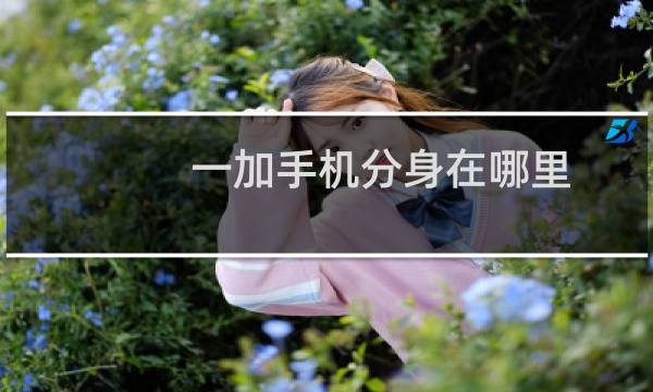 一加手机分身在哪里