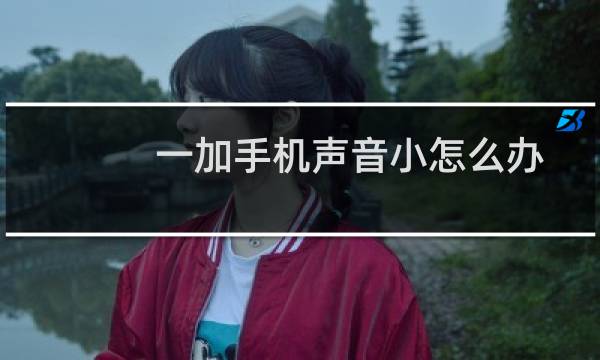 一加手机声音小怎么办
