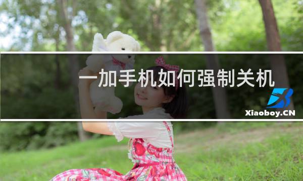 一加手机如何强制关机