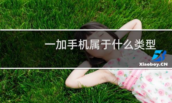 一加手机属于什么类型