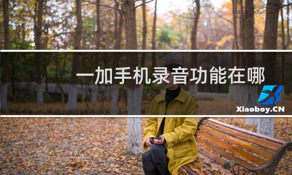 一加手机录音功能在哪
