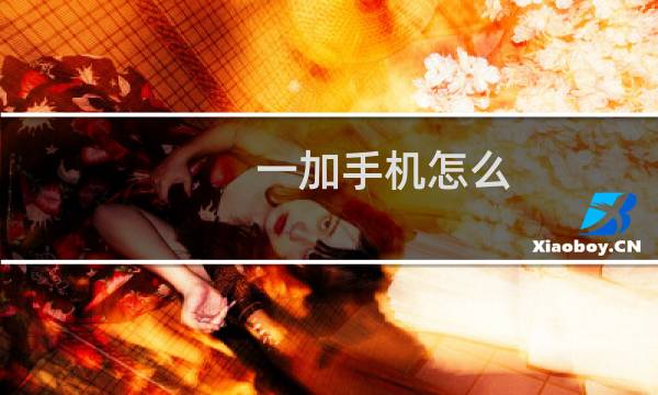 一加手机怎么