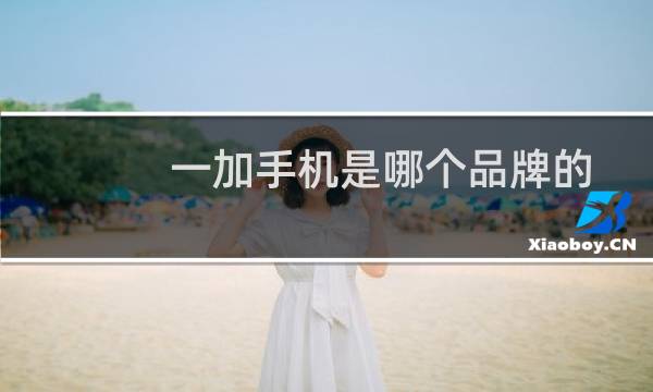 一加手机是哪个品牌的