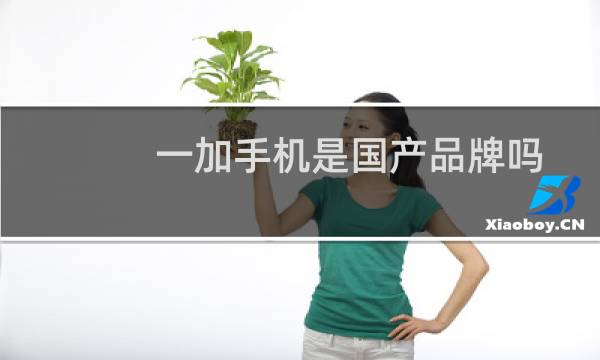 一加手机是国产品牌吗