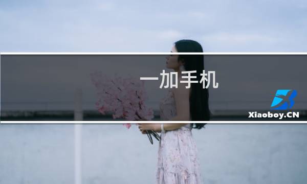 一加手机 好用吗