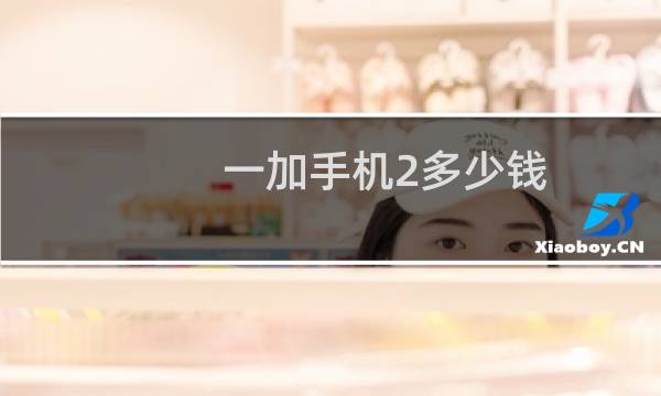 一加手机2多少钱