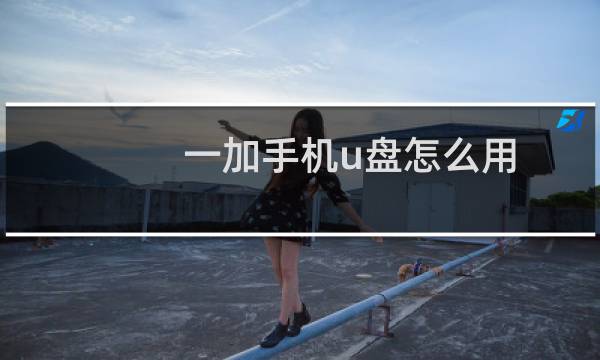 一加手机u盘怎么用