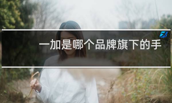 一加是哪个品牌旗下的手机