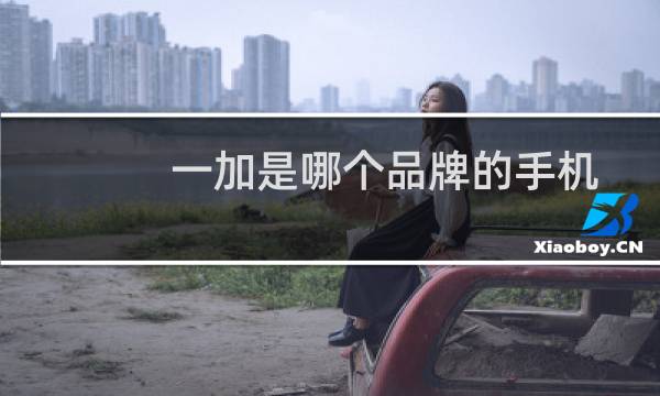 一加是哪个品牌的手机
