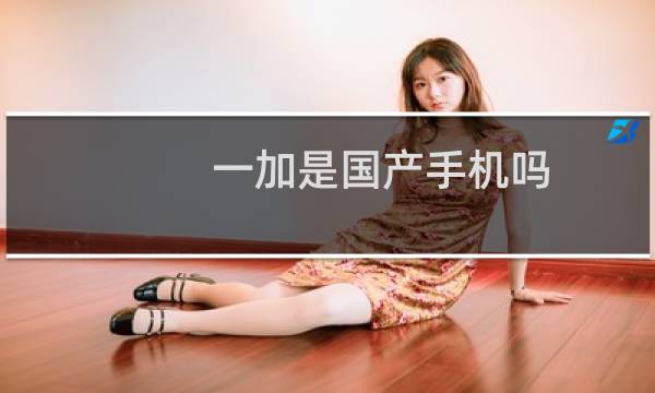 一加是国产手机吗