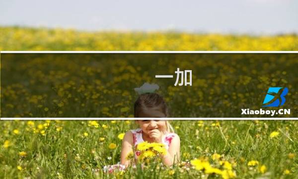 一加 最新手机