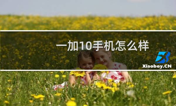 一加10手机怎么样