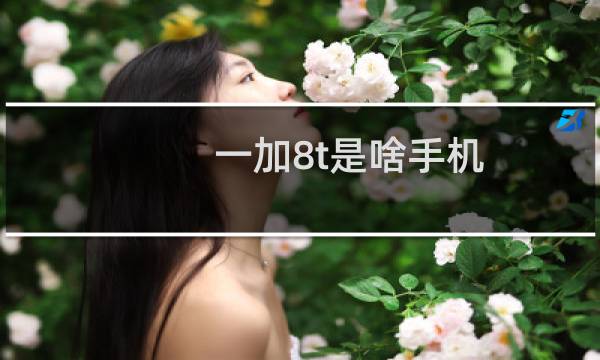 一加8t是啥手机