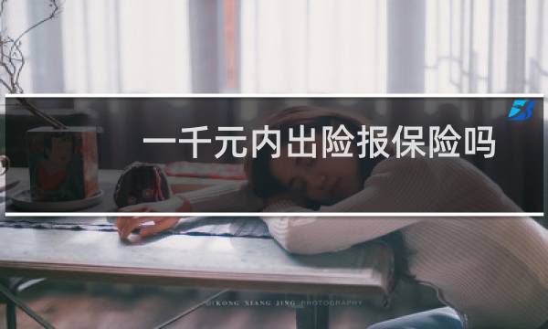 一千元内出险报保险吗