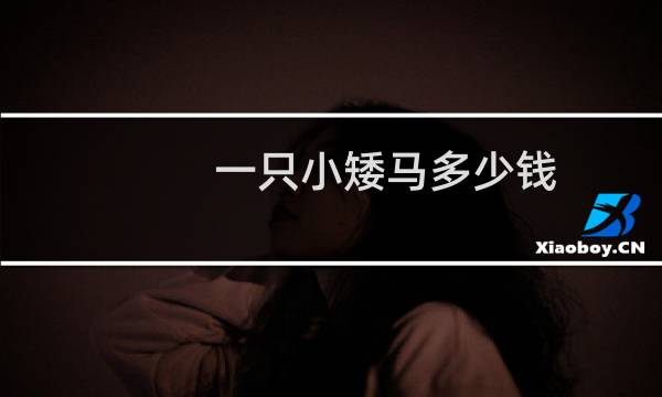 一只小矮马多少钱