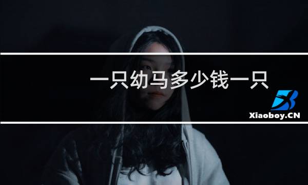 一只幼马多少钱一只