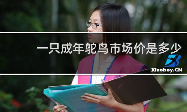 一只成年鸵鸟市场价是多少