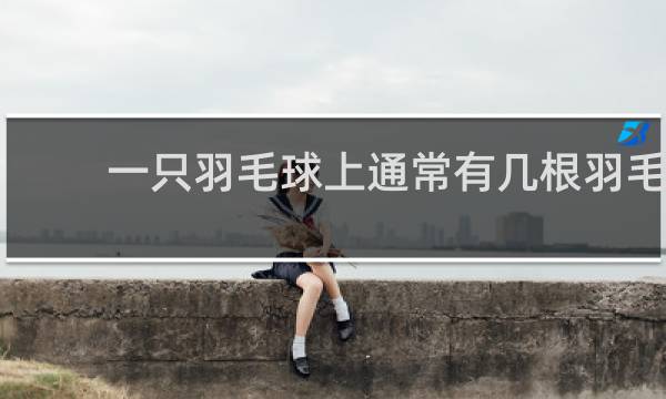 一只羽毛球上通常有几根羽毛