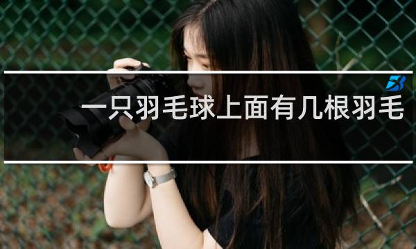 一只羽毛球上面有几根羽毛