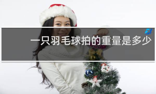 一只羽毛球拍的重量是多少