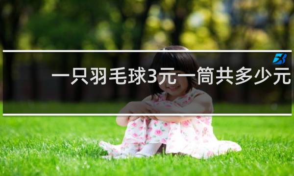 一只羽毛球3元一筒共多少元