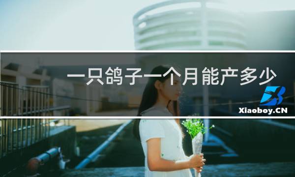一只鸽子一个月能产多少枚蛋