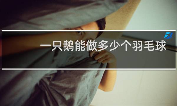 一只鹅能做多少个羽毛球
