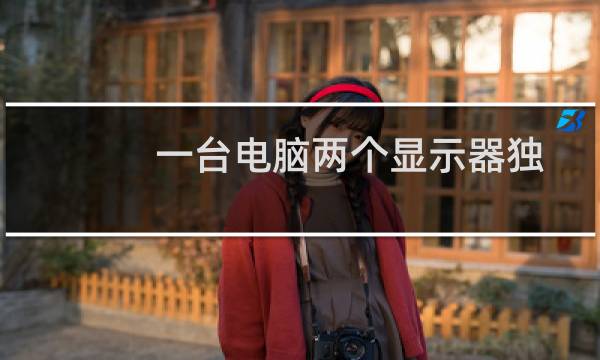一台电脑两个显示器独立工作（一台电脑两个显示器）图片