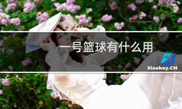 一号篮球有什么用