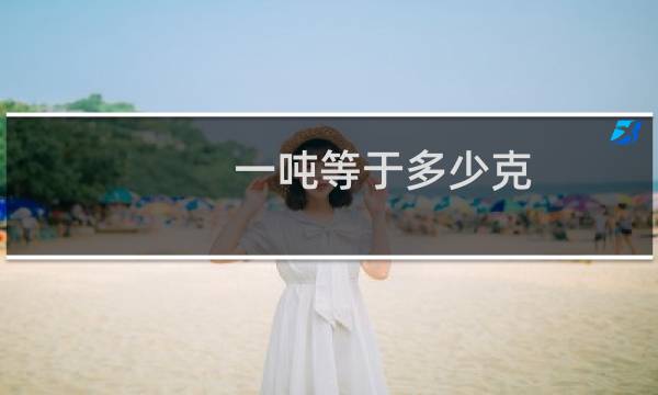 一吨等于多少克