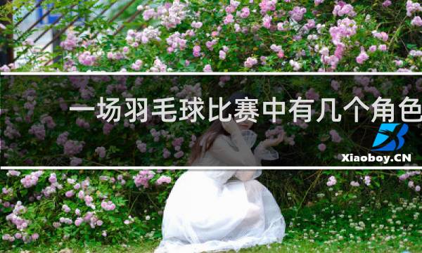 一场羽毛球比赛中有几个角色