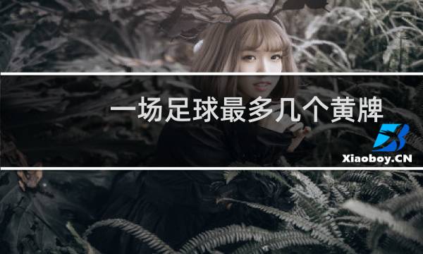 一场足球最多几个黄牌