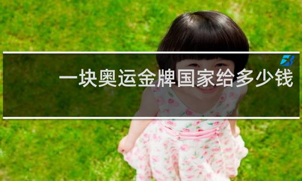 一块奥运金牌国家给多少钱