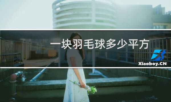 一块羽毛球多少平方