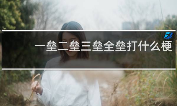 一垒二垒三垒全垒打什么梗